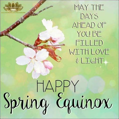 Spring Equinox Meme Phenomenon Spring Equinox Meme For Famous With