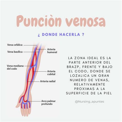 Punción Venosa nursing apuntes uDocz