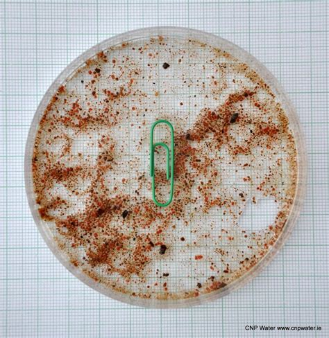 Autotrophic Nitrogen Removal (ANR) – CNP Water Ireland