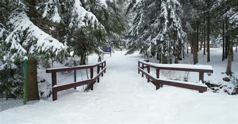 Wooden Bridge in Winter, Stock Video - Envato Elements