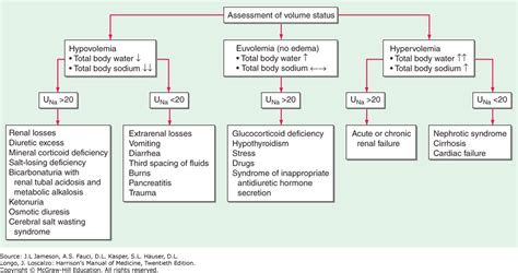 Hyponatremia Harrison S Manual Of Medicine