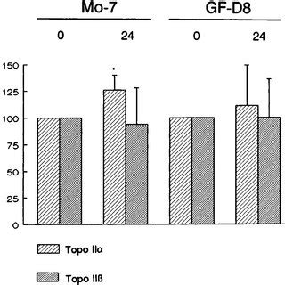 Topo Ii Activity Of Various Amounts Of Nuclear Extract Indicated