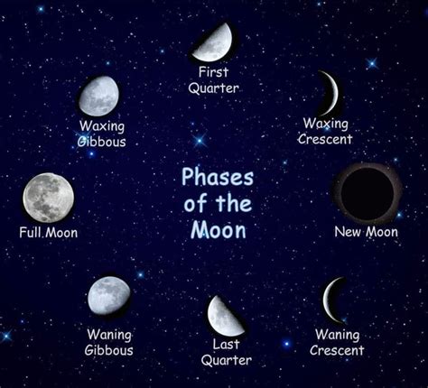 Different phases of the Moon. | Moon, Moon phases, Moon calendar