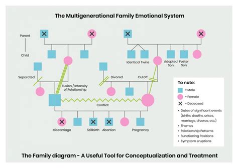 Bowen Family Systems Theory – ISSFI