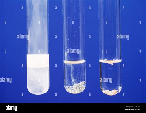 Metals Reacting In Acid Three Tests Tubes With Equal Volumes Of Dilute