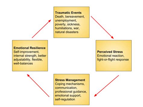 What Is Emotional Resilience Proven Ways To Build It