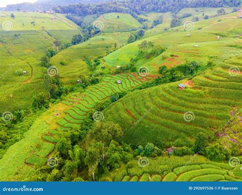 Beautiful Terraced Rice Field In Chiangmai Thailand Stock Photo