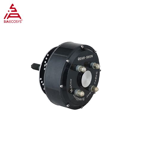 Siaecosys Qs W V Kph Wd Dual Hub Motor With Em Spcontroller