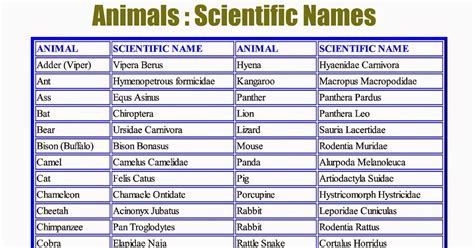 Nome Científico De Animal