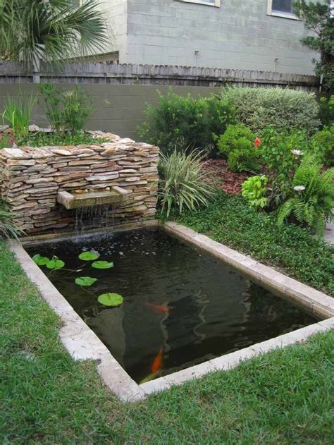 Étang de jardin moderne pour héberger les poissons et embellir lespace