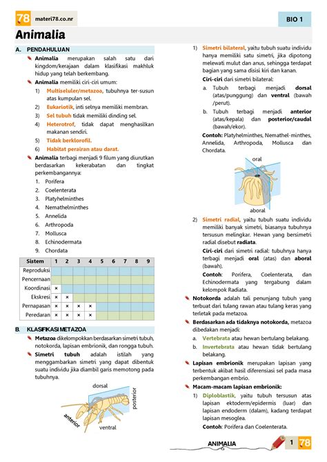 Biologi Materi 78 Bio 1 1 Animalia A Pendahuluan Animalia Merupakan