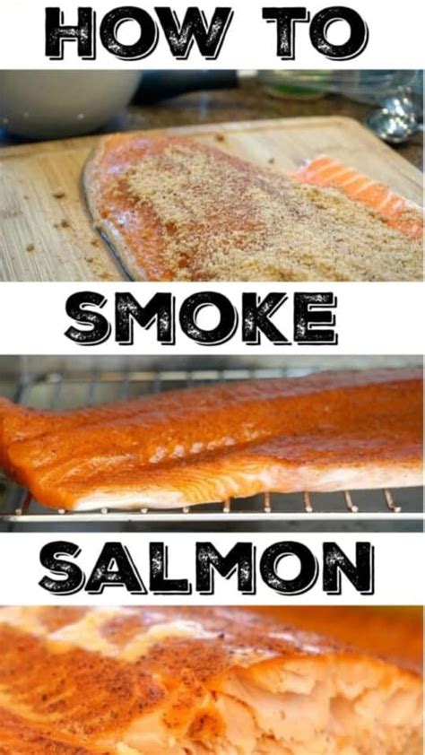 How To Smoke Salmon With Dry Rub On Traeger Pellet Or Electric