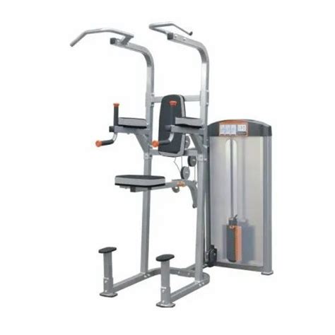 If8120 Weight Assisted Chin Dip Combo For Gym At Rs 127500 In Kolkata