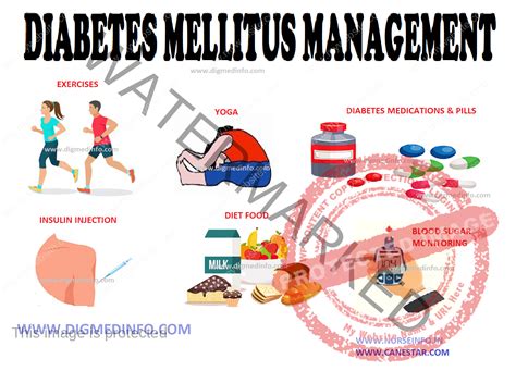 diabetes mellitus management medical nutritional therapy nurse info