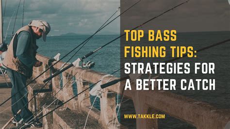 bass fishing tips   tips  catch bass effectively