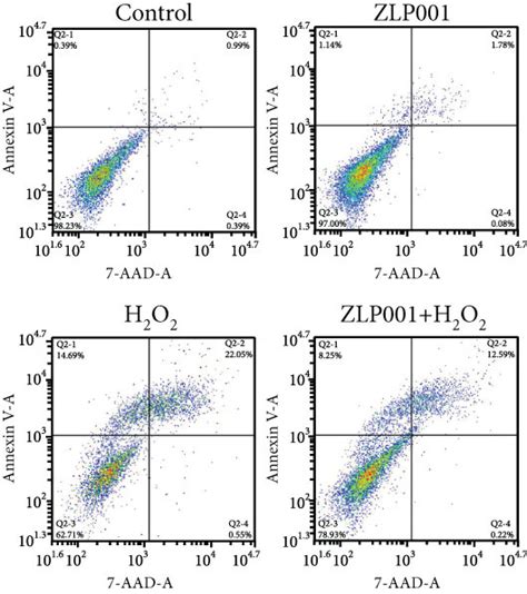 Lactobacillus Plantarum Zlp001 Inhibits H2o2 Induced Apoptosis In