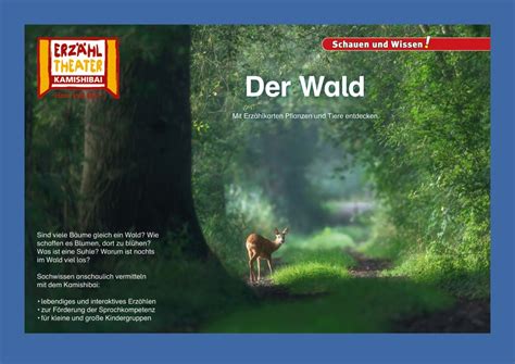 Der Wald Kamishibai Bildkarten Buch Hase Und Igel Verlag