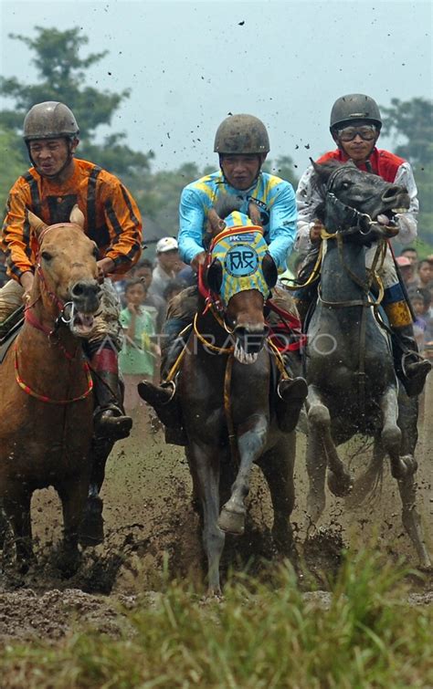 Kejuaraan Balap Kuda Tradisional Antara Foto