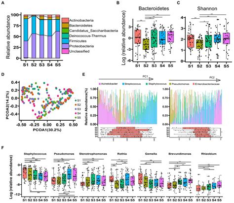 Frontiers Diversity And Temporal Dynamics Of Breast Milk Microbiome