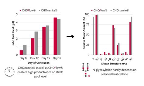 Cho Cell Line Development Services Fyonibio