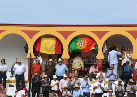 Farpas Blogue Famosos Ontem Na Corrida Matinal De Oliven A