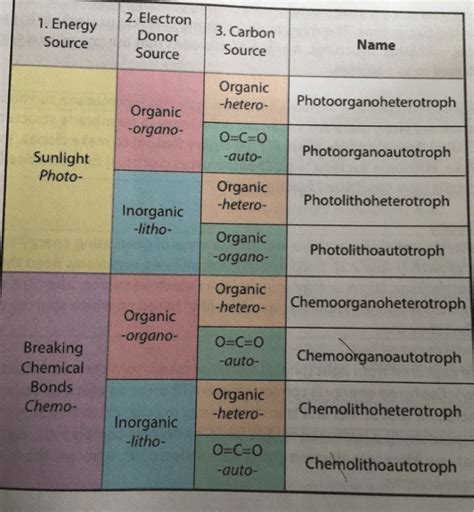 Solved 2. Electron3. Carbon 1. Energy Donor Source Name | Chegg.com