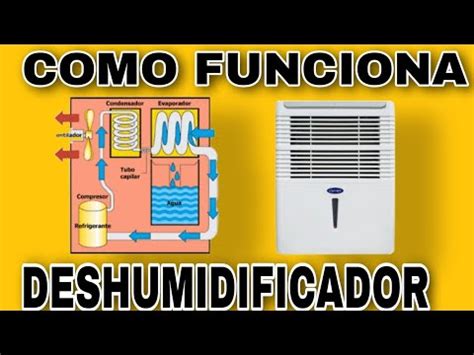 COMO FUNCIONA UN DESHUMIDIFICADOR descripción de sus componentes