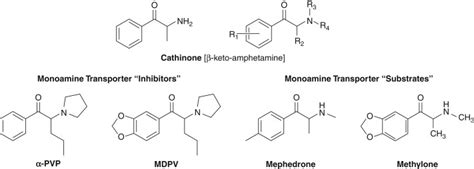 Neurobehavioral Toxicology Of Substances Of Abuse Basicmedical Key