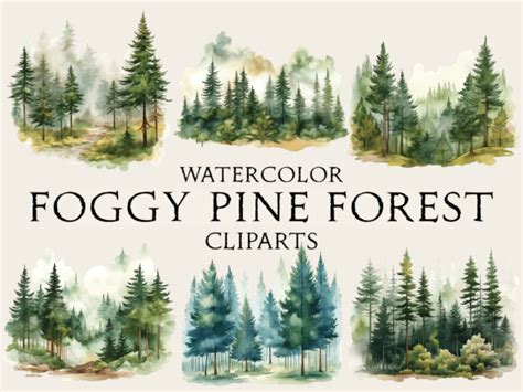 Watercolor Foggy Pine Forest Cliparts Graphic By Abdel Designer