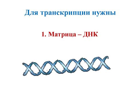 Транскрипция, посттранскрипционные модификации - презентация онлайн