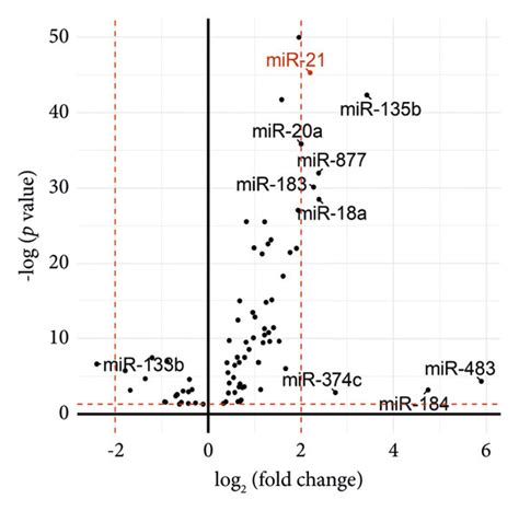 Mir Is Significantly Overexpressed In Hpgc A Schematic