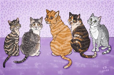 Different Types Of Tabby Cat Patterns — The Hervey Foundation For Cats