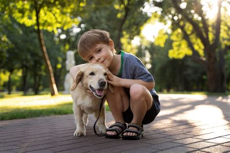 Estudo Mostra Os Benef Cios Da Intera O Entre Crian As E Cachorros