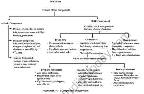 Neet Biology Ecosystem Notes