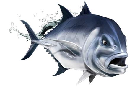 Sleek Giant Trevally Fish Graphics - Boat Names Australia