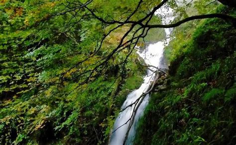 Ruta De La Cascada Del Xiblu Por El Hayedo De Montegrande El Comercio