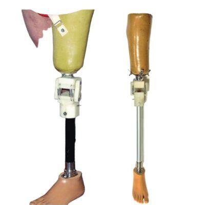 Prosthetic Leg Fit: Types of Knee Prosthesis for Leg Amputations