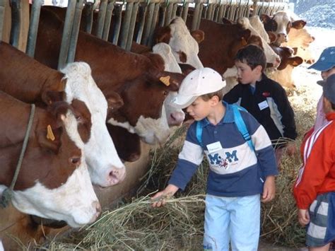 Fonction P Dagogique Agricampus Hautes Alpes