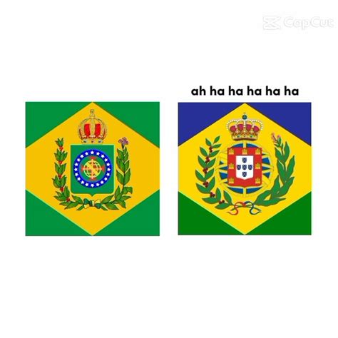 Portugal E Brasil 38s Edit Capcut Geografia Evolution Meme YouTube