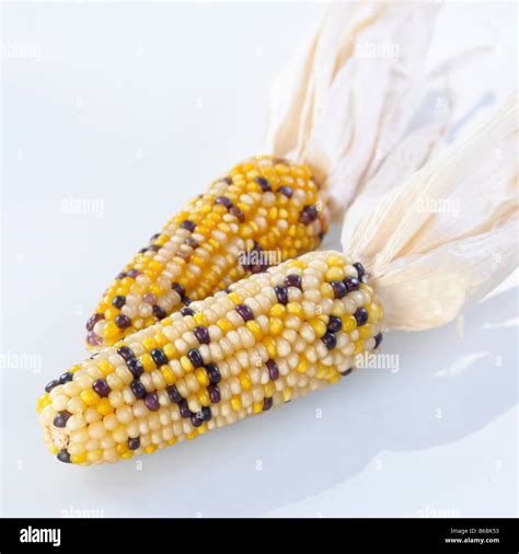 Close Up Of Sweet Corns Stock Photo Alamy