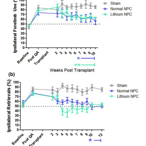 In Vitro Priming Of Svz Derived Adult Neural Progenitor Cells With