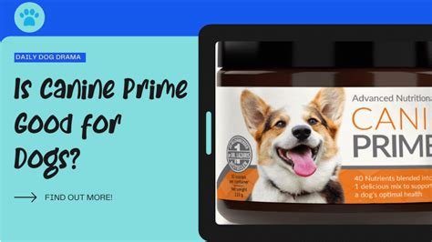 Is Canine Prime Good for Dogs? All Around Supplement Reviewed - Canine Care Central