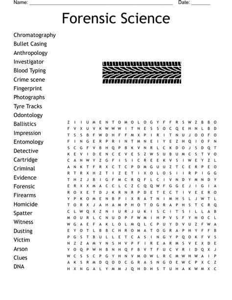 Forensic Science Worksheets