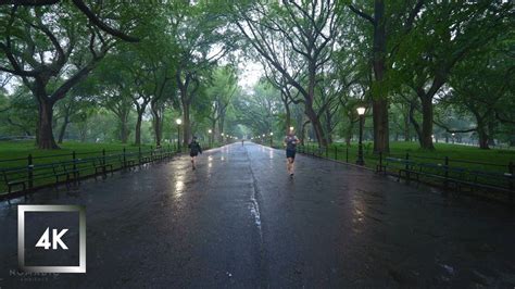 Walking In The Rain Central Park New York Binaural Rain Umbrella And