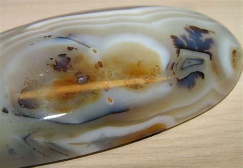 Камень Моховой Агат: описание, свойства и кому подходит по знаку зодиака