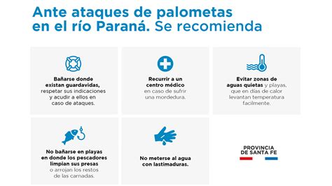 Infografía recomendaciones ante ataques de palometas en el río Con