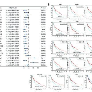 High Expression Of CYTL1 Is Associated With A Poor Prognosis Of