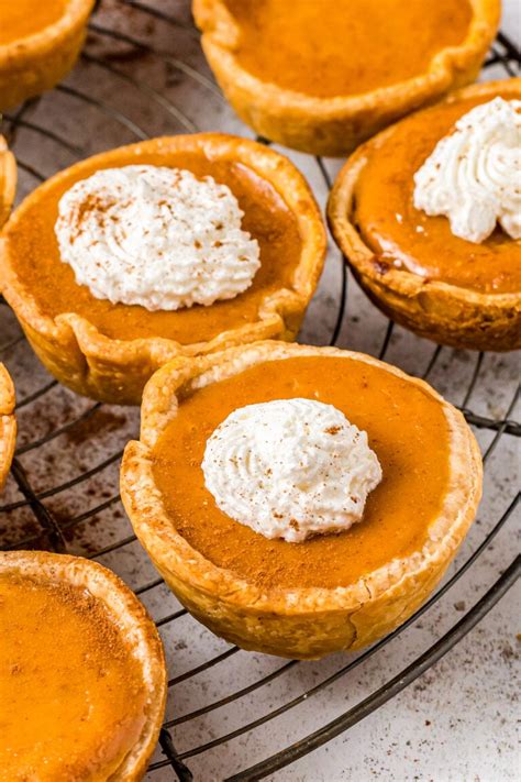 Mini Pumpkin Pies Recipe The Novice Chef