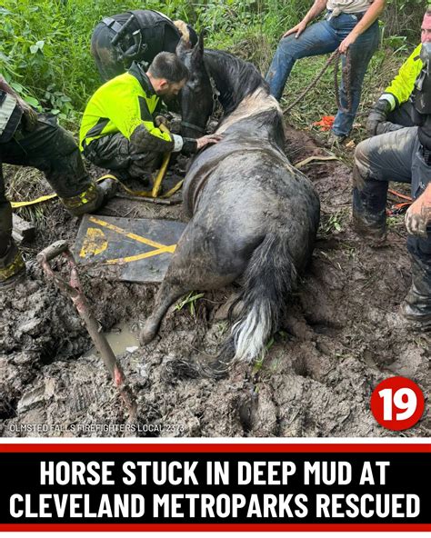Cleveland - "The rescuers were getting stuck and sinking in the mud