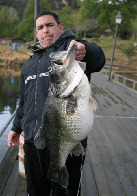 The 5 Biggest Bass Of All Time